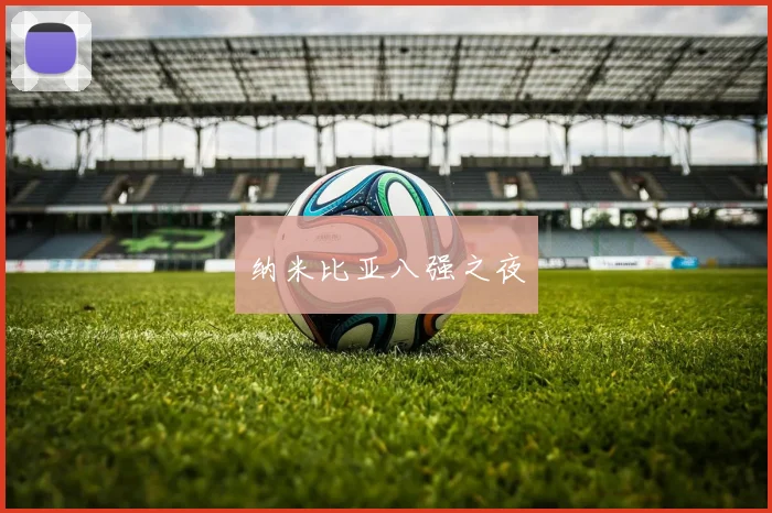 纳米比亚八强之夜