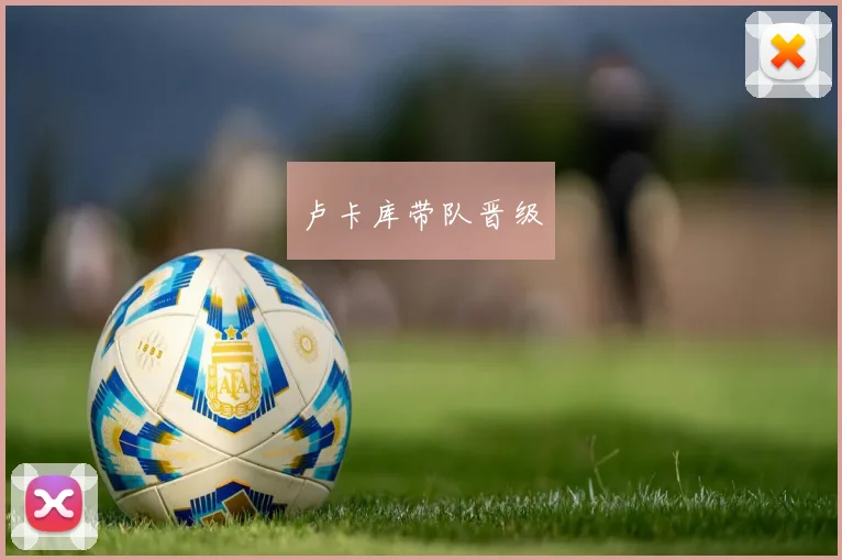 卢卡库带队晋级