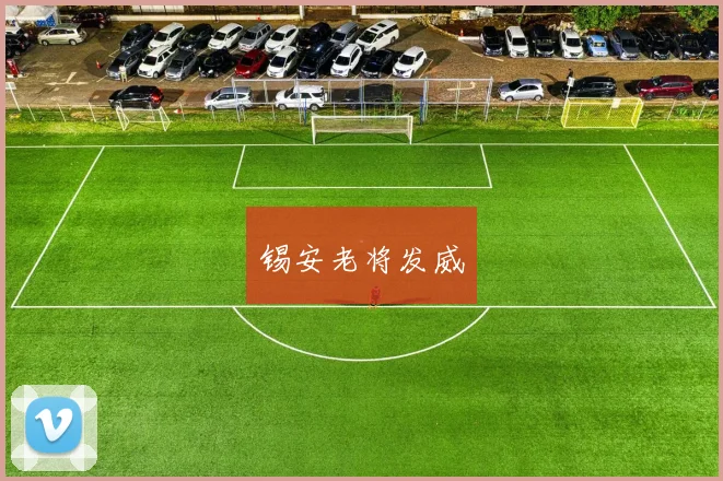 锡安老将发威