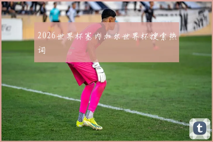 2026世界杯塞内加尔世界杯搜索热词