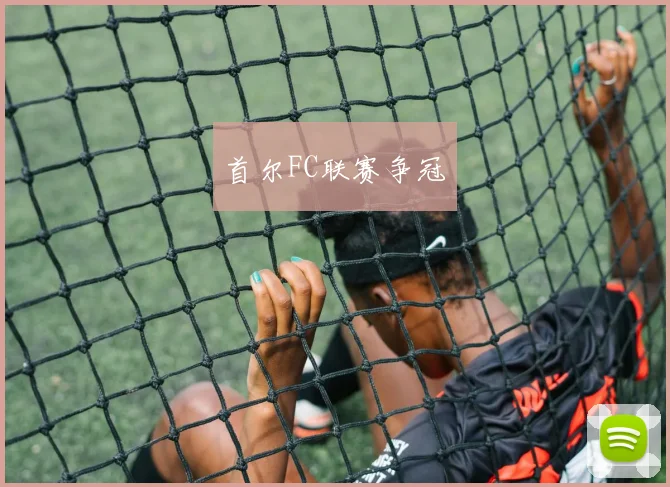 首尔FC联赛争冠