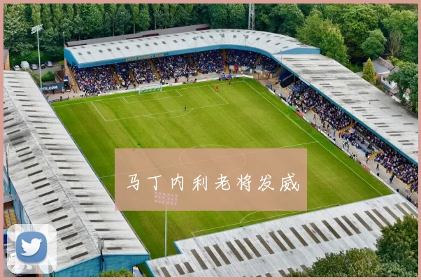 马丁内利老将发威