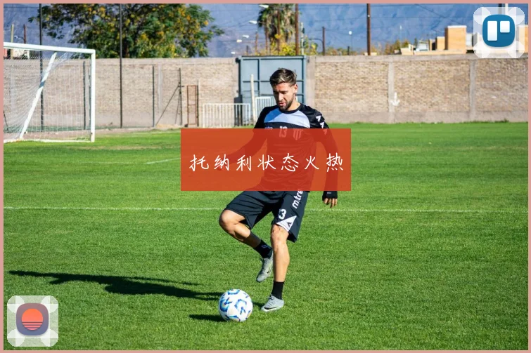 托纳利状态火热