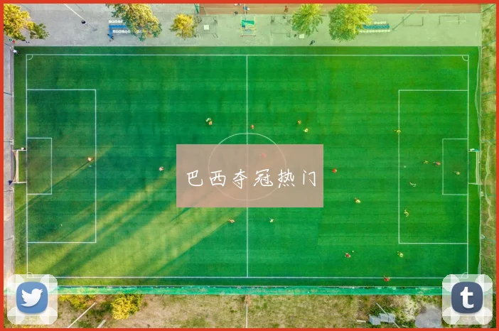巴西夺冠热门