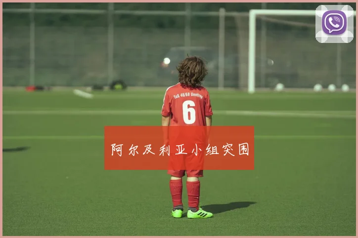 阿尔及利亚小组突围