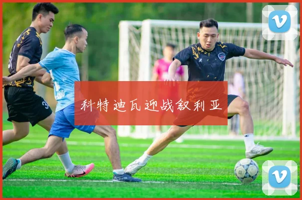 科特迪瓦迎战叙利亚