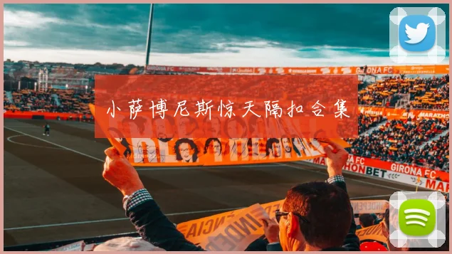 小萨博尼斯惊天隔扣合集