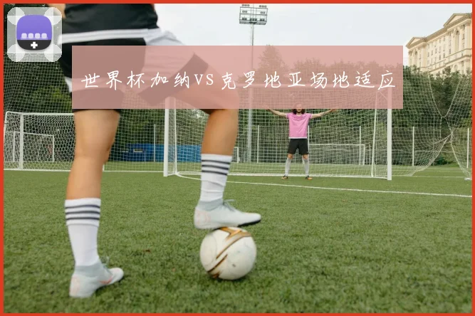 世界杯加纳vs克罗地亚场地适应