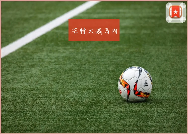 芒特大战马内