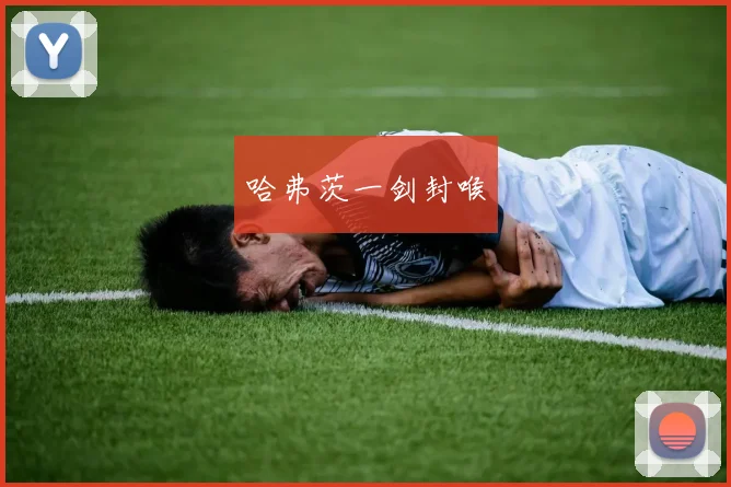 哈弗茨一剑封喉