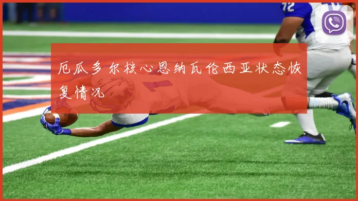 厄瓜多尔核心恩纳瓦伦西亚状态恢复情况