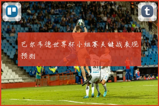 巴尔韦德世界杯小组赛关键战表现预测