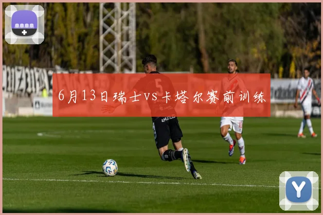 6月13日瑞士vs卡塔尔赛前训练