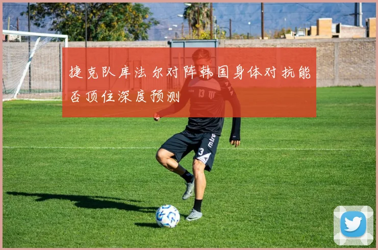 捷克队库法尔对阵韩国身体对抗能否顶住深度预测