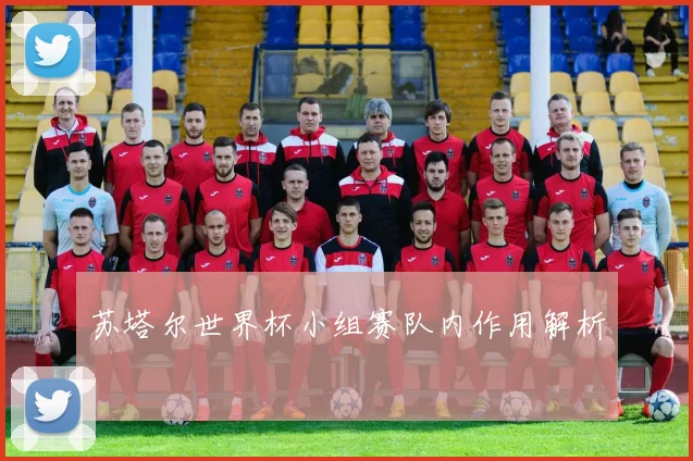 苏塔尔世界杯小组赛队内作用解析