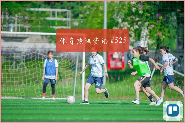 科拉希纳茨2026世界杯战术位置解析
