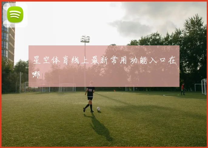 星空体育线上最新常用功能入口在哪
